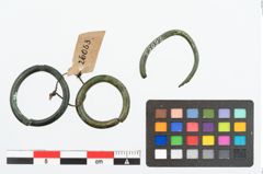 Foto von Bronzering (NHMW-PRAE-026053)
